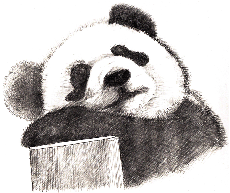 鉛筆画・パンダの昼寝